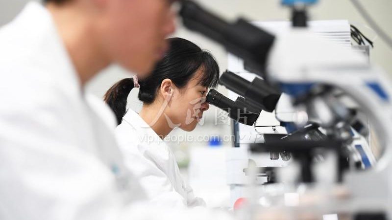 CDMO工艺流程：揭秘制药生产的幕后英雄