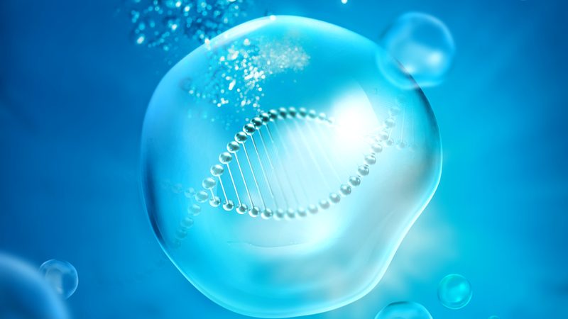 生物试剂代理品牌，如何选择合适的合作伙伴？**
