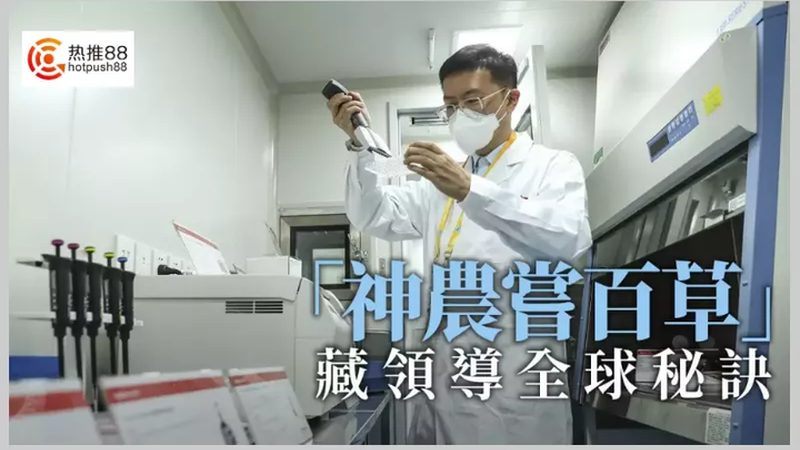 无创产前基因检测：标准规范背后的科学逻辑