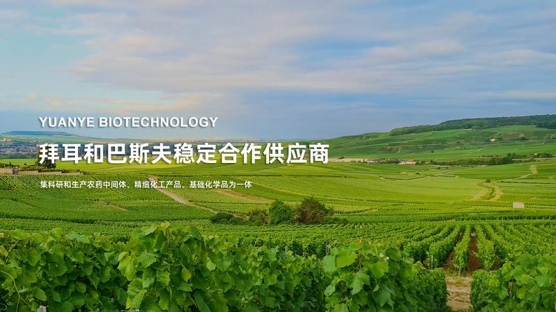 PCR实验室防污染设计的五大关键要点