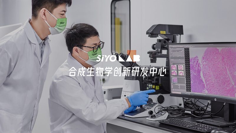 居家PCR检测：上海方法背后的技术奥秘