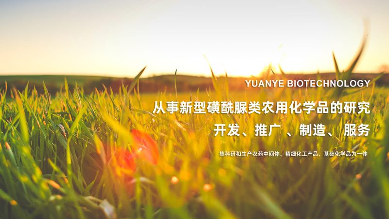生物科技肥料大棚蔬菜用法