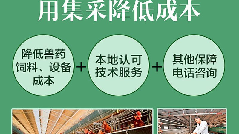 A/B测试在cro优化中的应用步骤解析