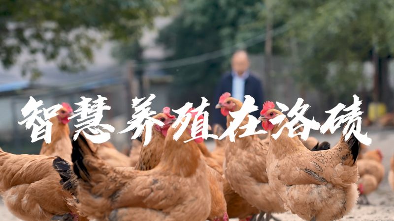 揭秘CRO优化培训：价值与成本解析