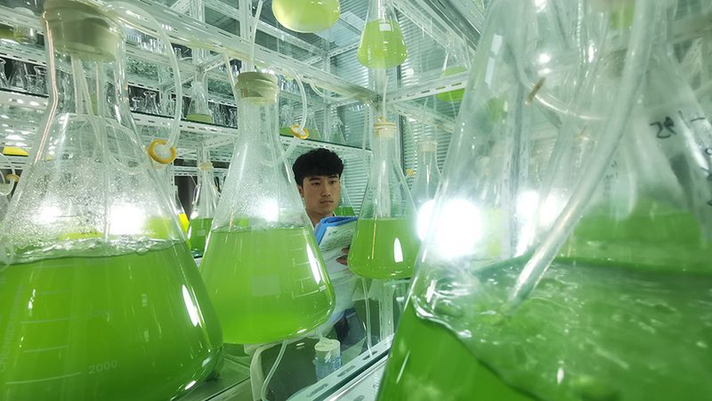 生物医药工艺验证外包：揭秘上海方案的关键要素